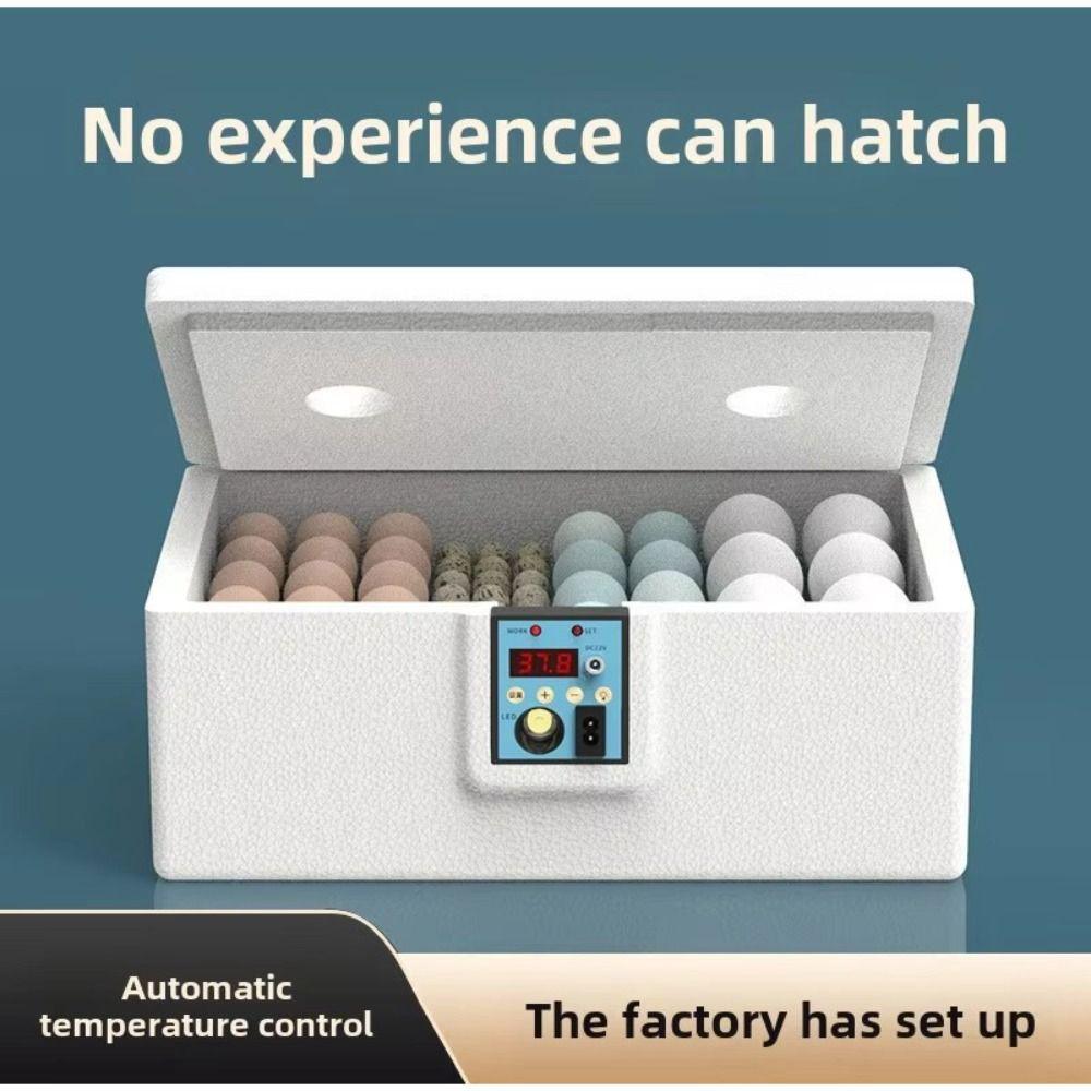 Temperaturregelung Kleiner Geflügel-Eierinkubator Brüter Inkubator Huhn Ente Wachtel Vogel