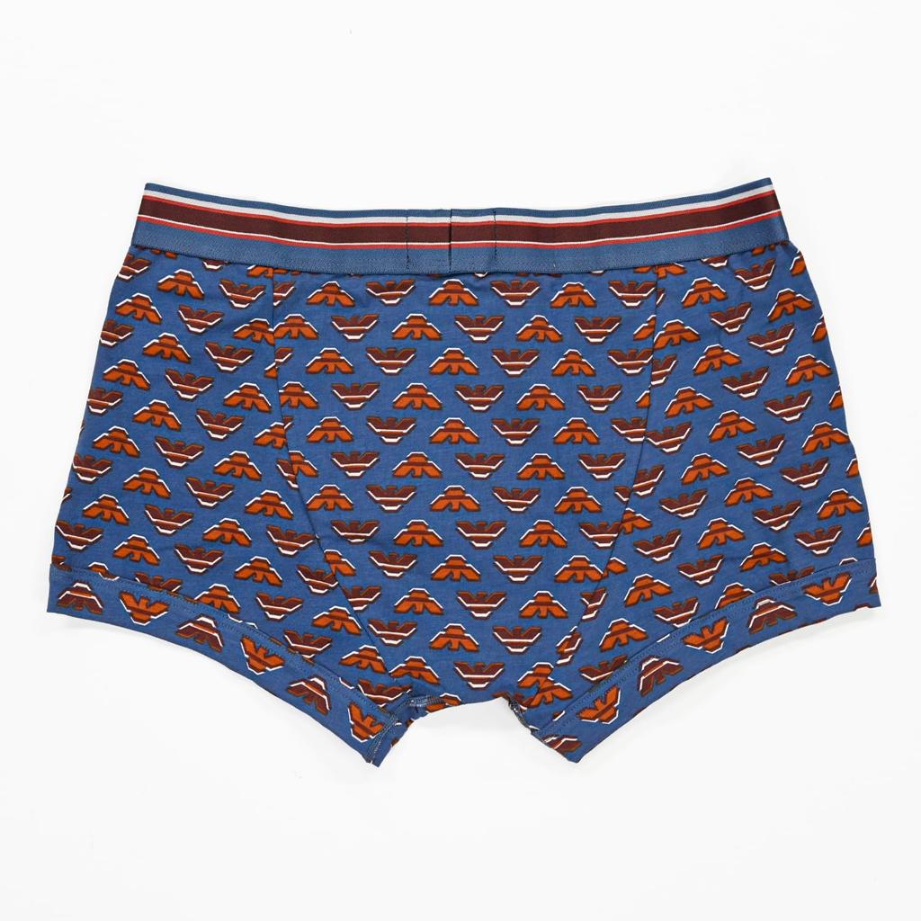 Emporio Armani Men's Eagle Logo Boxer Briefs, Size L, Brown and Blue, EM000231 AF10793 FB108, Made in Italy [Parallel Import]
