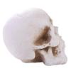 Pottery Simulation Skull Ornament Refractory Halloween Skull Props Fire Pit Skull  Fireplace