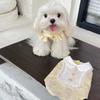 Pet Cat Dog Princess Dress Bigbear Pomeranian Yorkshire Schnauzer Small Dog Cat Clothes Spring and Summer Thin Dog