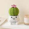 Crochet Cactus Potted Plants, Handmade Knitted Cactus for Home Office Car Decoration, Decorative Plants for Lasting Beauty, Gift for Women Family