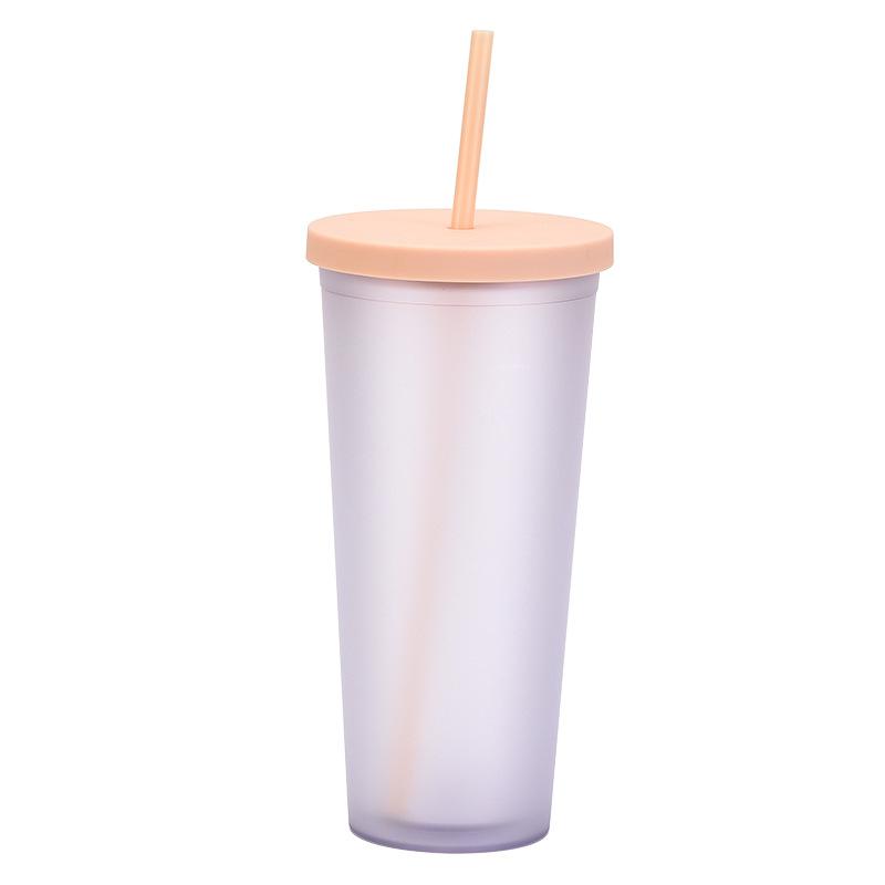 Double-Layer Plastic Straw Cup, Matte Cup, Outdoor Sports Water Cup