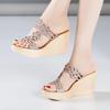 Plus Size 32-43 Silver Gold Cutout Rhinestone Platform Shoes Women Summer 2025 High Heels Slides Chunky Wedges Slippers Party
