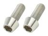 POSH 900615-T2 Motorcycle Supplies, Tapered Cap Bolts, Stainless Steel, 2 Pieces