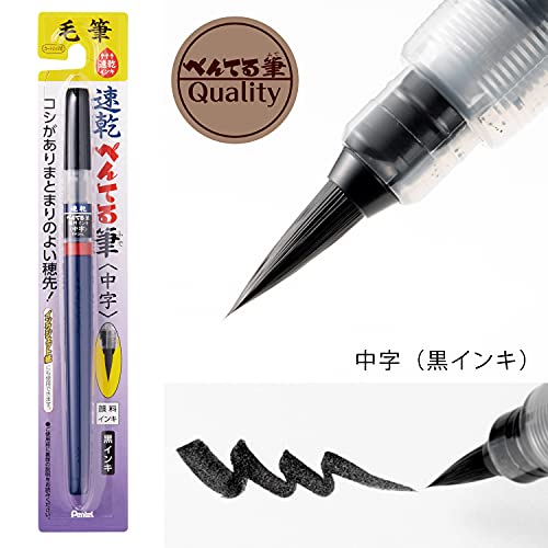 Pentel Brush Pen, Quick Drying, Medium Nib, 10 Pens, XFPD5L