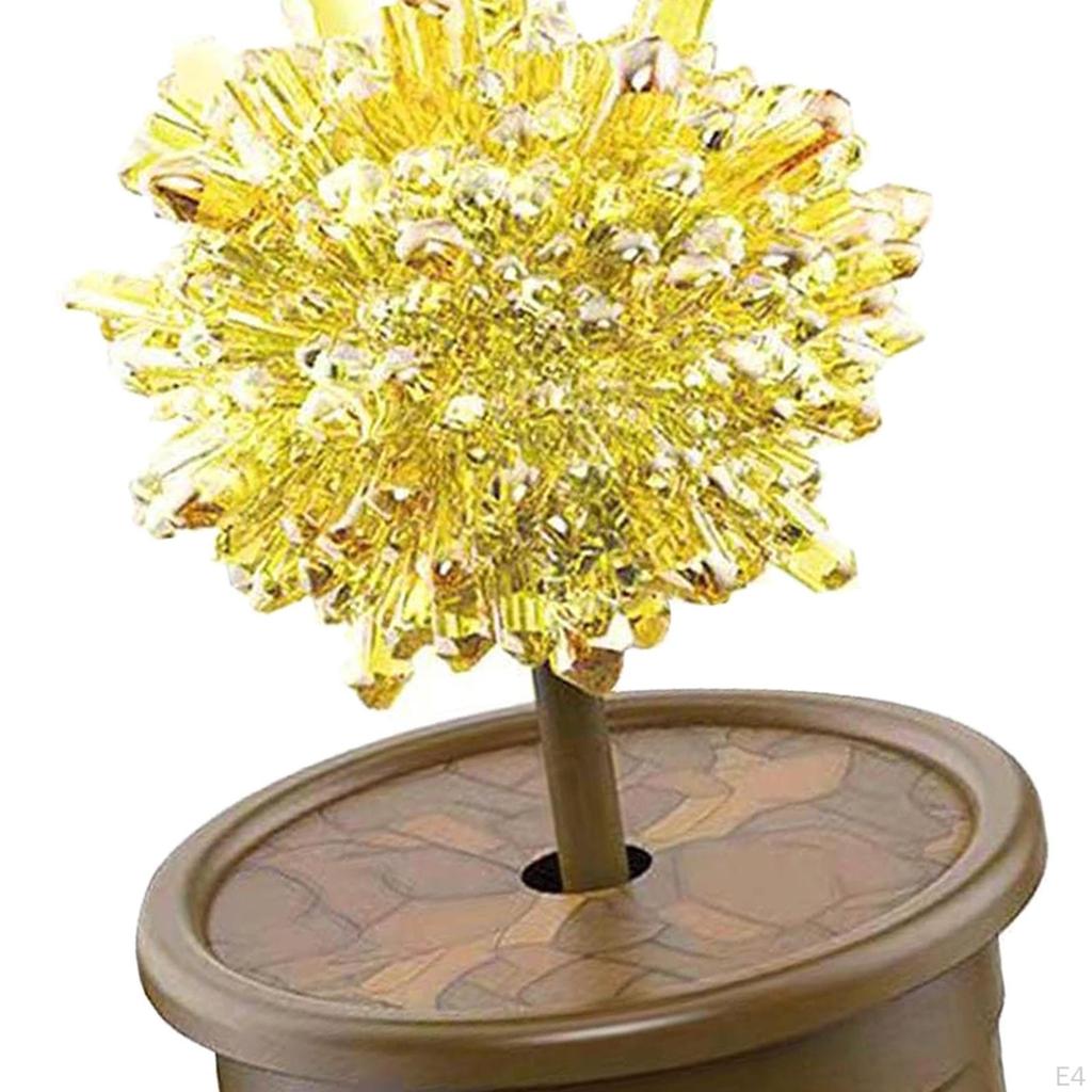 Crystal Growing Kit Educational Toy Science Project Experiments Kits for