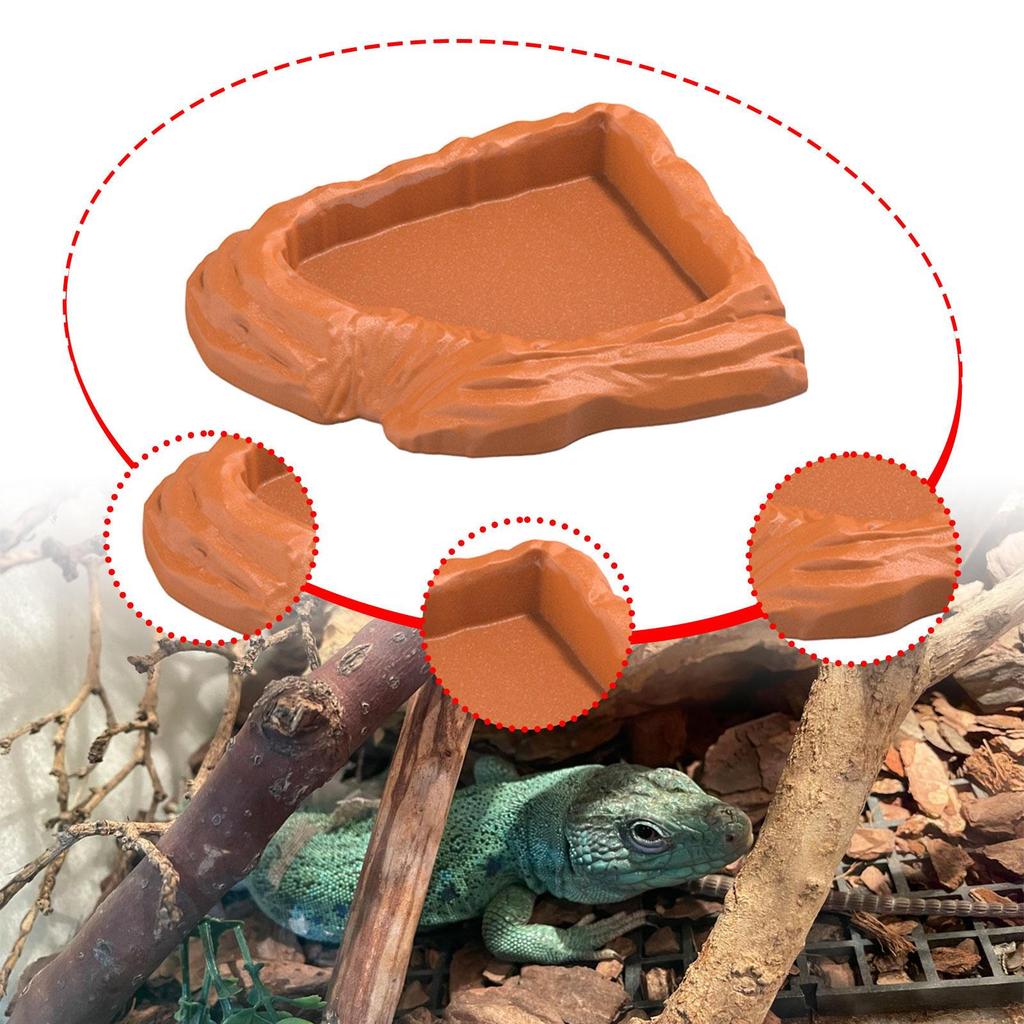 Reptile Water Dish Corner Feeding Bowl for Turtles And Chameleons