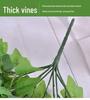 Artificial Morning Glory Wall Hanging Decoration - Green Plant Basket for Living Room