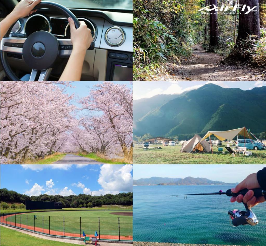 [AirFly] AF-501 C-1 [Black Matt/Gray Lens]