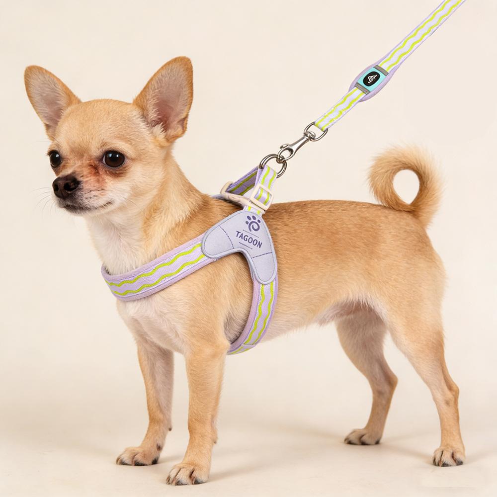 Fashion Puppy Dog Saddle Harness for Small Dogs Light Padded Pet Harnesses and Leash Set Chihuahua Poodle Mascotas Accessories