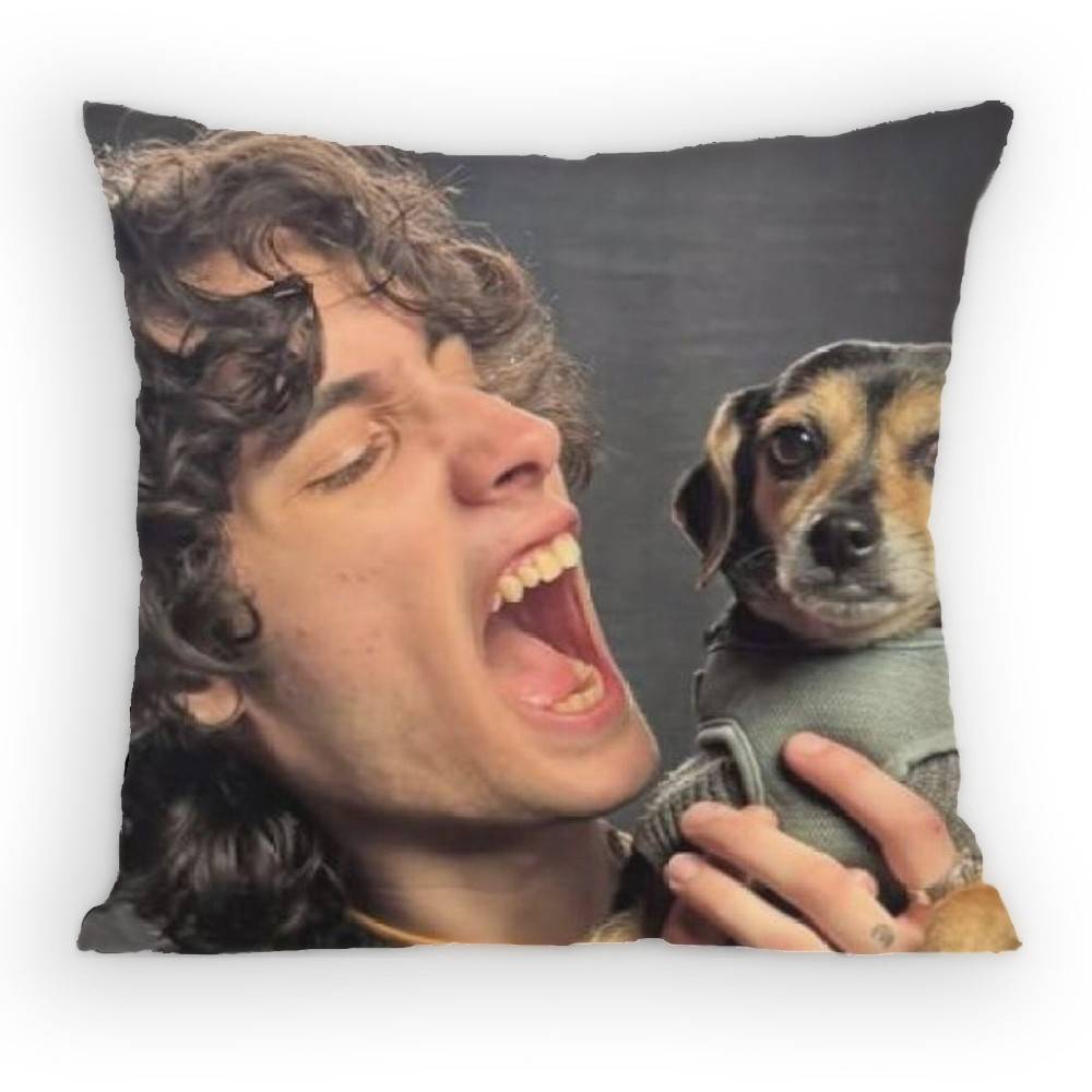 Sombr Back to Friends Pillow Case Sofa Living Room Bedroom Headboard Backrest Cushion Square Cushion Nap Time