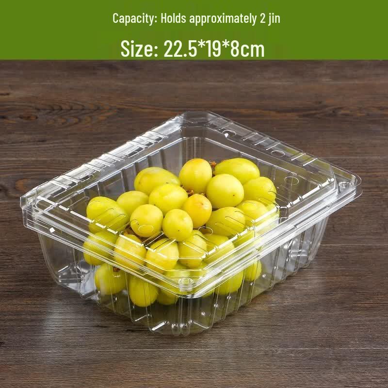 Transparent Disposable Rectangular Fruit Packaging Box with Lid