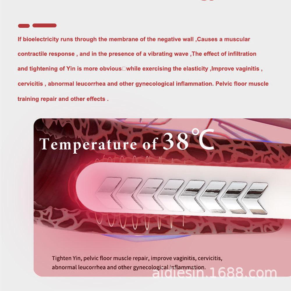 Postpartum Pelvic Floor Strengthening & Leakage Prevention Device
