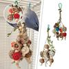 Bite Resistant Parrot Toy Peony Tiger Skin Molar Chewing Articles Colorful String Bird Biting Toy For Cage Decoration New