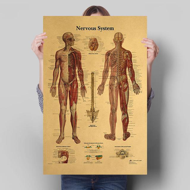 Menschliche Knochen Struktur Dekorative Bild Nordic Retro Stil Poster Wand Kunst Wohnzimmer Leinwand Malerei Drucke Moderne Wohnkultur