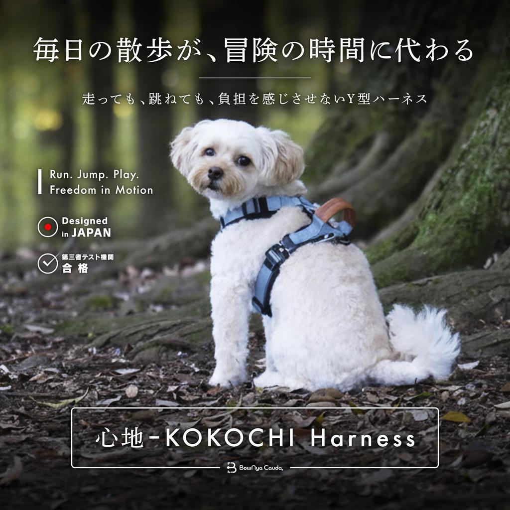 BowNya Cauda Dog Gentle on the Leather for Tracheal Metal Suitable for and Large Dogs KOKOCHI Sand XS Size [Veterinarian Recommended] Harness, Neck,