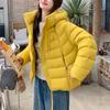 Puff Down Jacket Women's Winter Women's New Women's Clothing Short Down Duck Down Jacket Pinghu
