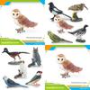 Bird Animal Model With Plastic Material For Home Decor And Collecting