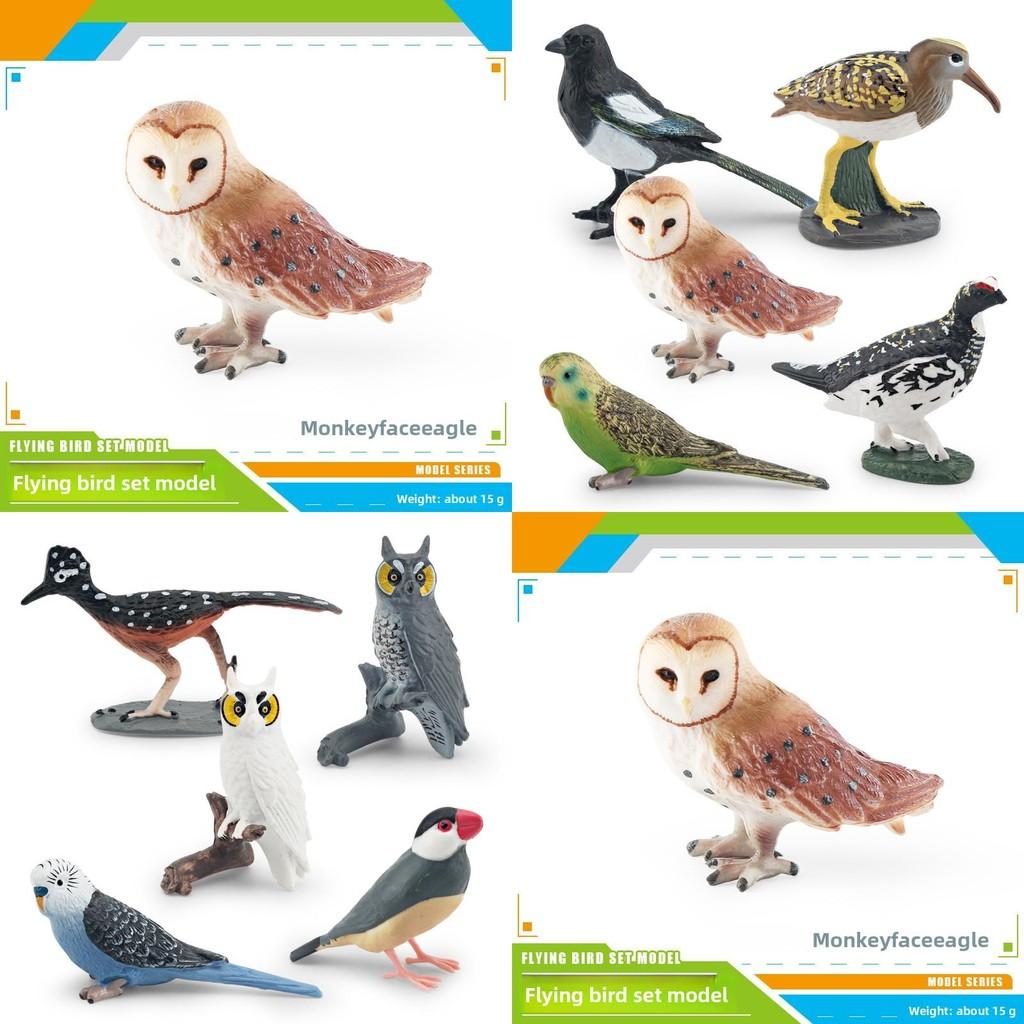 Bird Animal Model With Plastic Material For Home Decor And Collecting