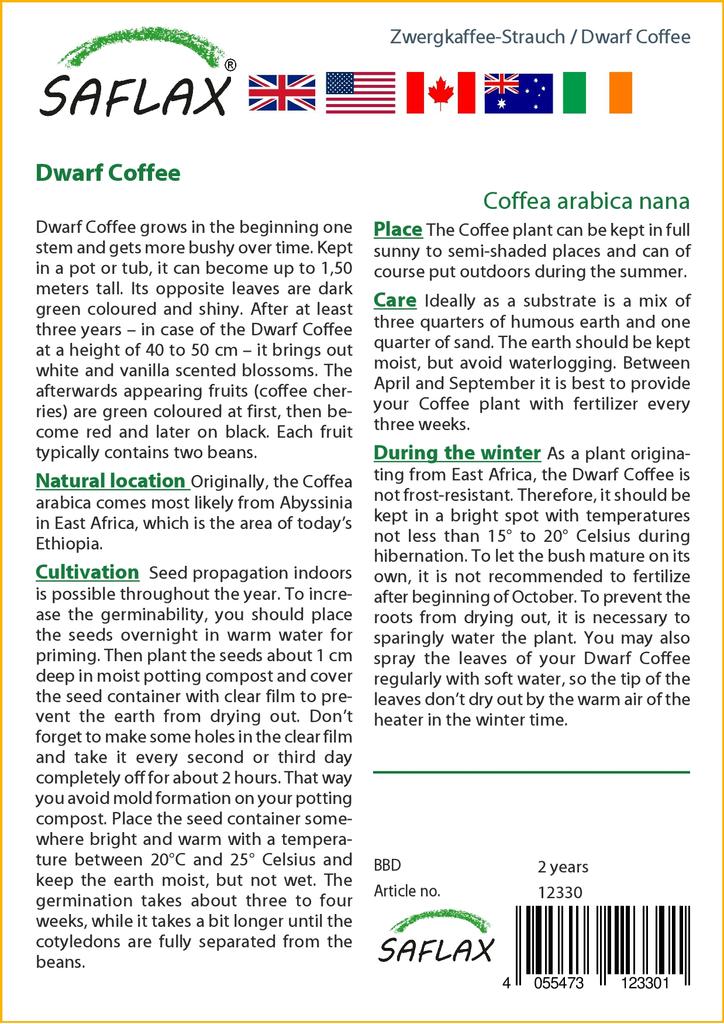 SAFLAX Dwarf Coffee - 8 Seeds - Coffea Arabica Nana