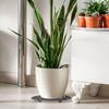 1ks Výtah na květináče Heavy Duty Plant Stojany 20/30/40 cm Podšálek na květináče pro prevenci hniloby a poškození na podlaze terasy