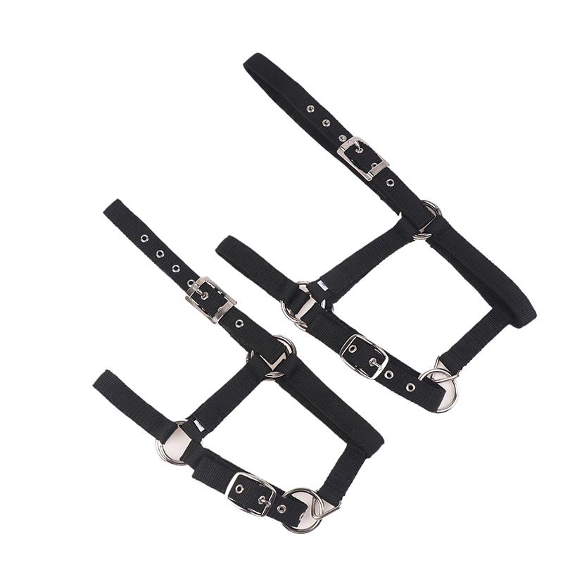 Ayarlanabilir Naylon Dokuma Binicilik Batı At Yuları At Binme Giyim Siyah Xs S M L Xl Ergonomik Rahat Yularlar