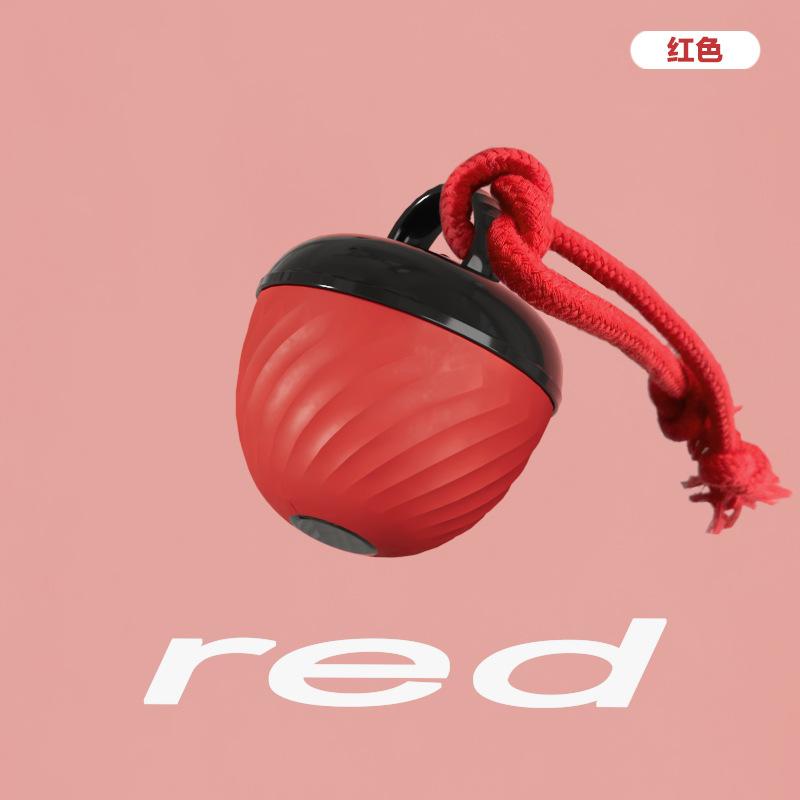 Dog Toys Bite Resistant Ball Electric Dog Glow Teasing Device for Relieving Boredom Pet Cat Toys for Walking for Jumping Balls