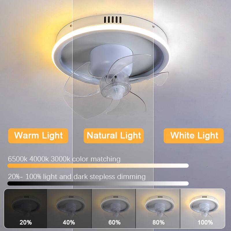 LED Ceiling Fan Lamp RGB Stepless Dimming Remote Interior Lighting Fixture Bedroom Living Home Decor Ceiling Fan With Light