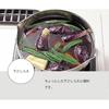 Miyazaki Seisakusho Geo Yukihira Pot 18cm Made in Japan IH Compatible All Heat Source Compatible 15