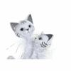 Figurine Décorative - DKD Home Decor - Chats Romantiques - 15 X 10 X 29 Cm - Blanc - Intérieur