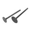 Exhaust Intake Valve Kit Black Exhaust Intake Valve Set Replacement for XG250 TRICKER 2004?2017