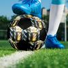 Pallone Calcio a 5 Messi Colorato Cucito a Macchina PVC Misura 5 Pronto per Allenamento di Squadra e Competizione Resistente Rimbalzo Elevato Fantastico Regalo Sportivo