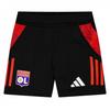 Childrens/Kids Olympique Lyonnais Football Shorts