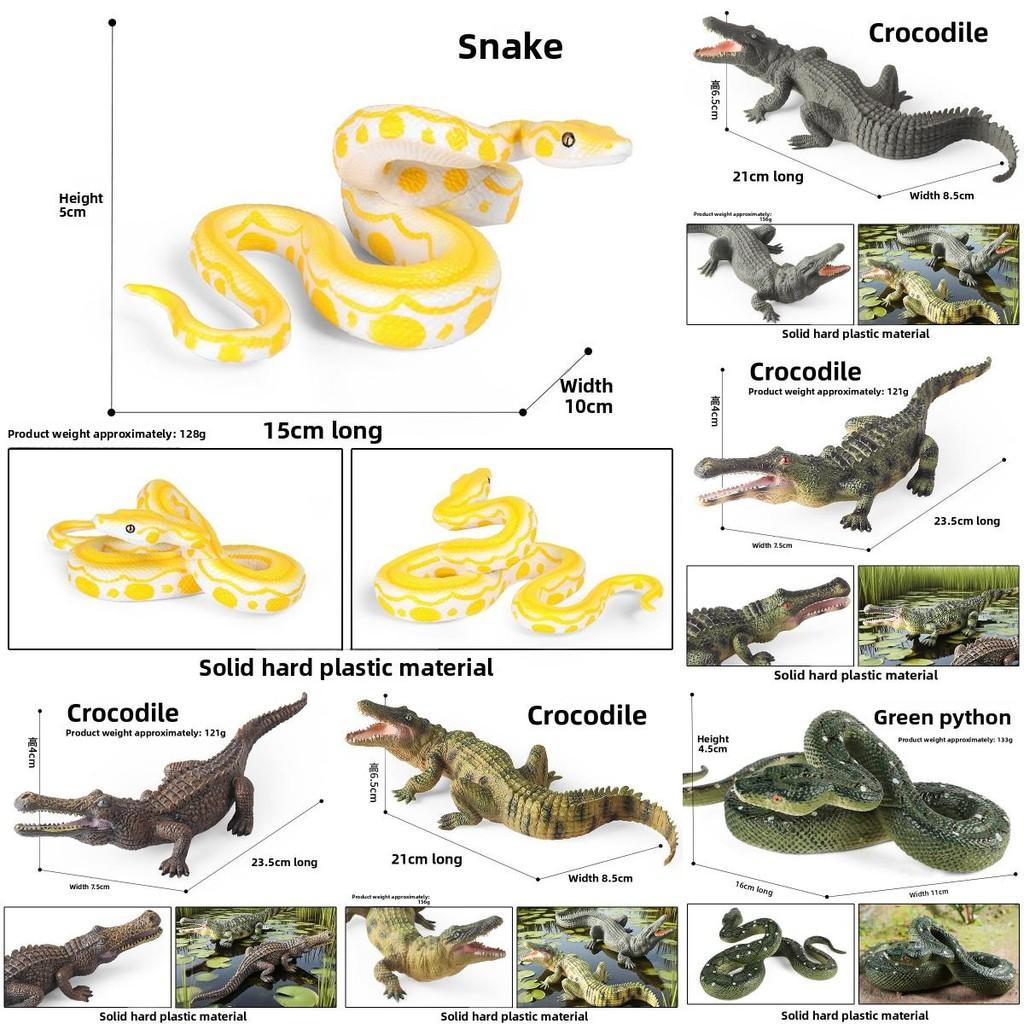 Snake Amphibian Animal Crocodile Toy Model For Kids Educational And Display Use