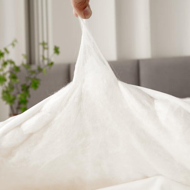 Muxinzi Brushed Silk Summer Quilt