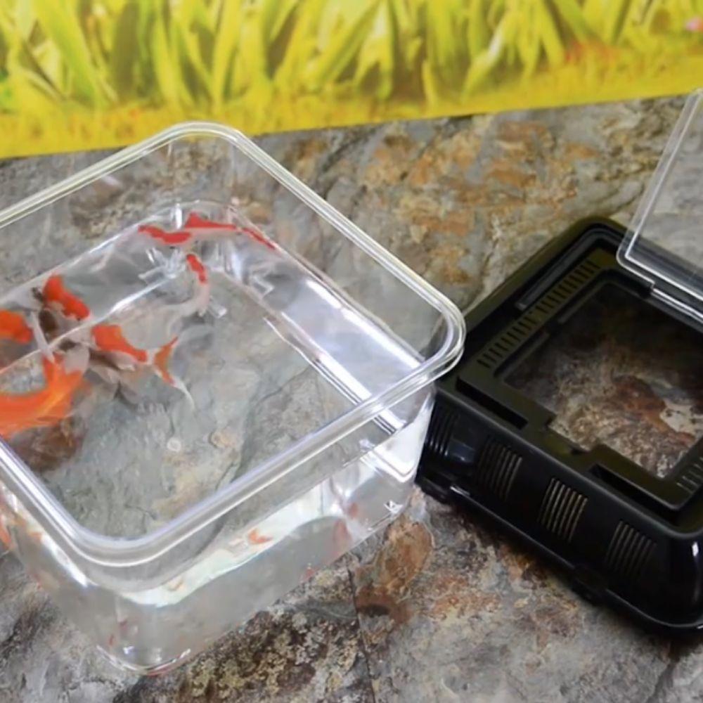 Plastic Fish Bowl Handheld Reptile Carrier Peractical Portable Fish Tank  Aquarium