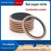 JB982 Red Copper Gasket Seal Ring/O-ring & Framed Oil Seal Combo