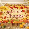 2D Autumn Harvest Turkey and Pumpkins Photo Background