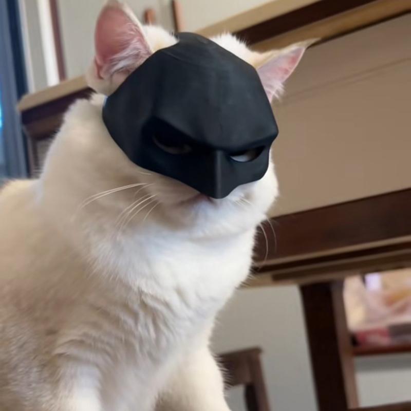 Katzen Fledermaus Maske Lustige Schwarze Fledermausförmige Haustier Katze Helm Maske Halloween Kostüme Zubehör für Katzen Foto Requisiten Halloween Dekoration