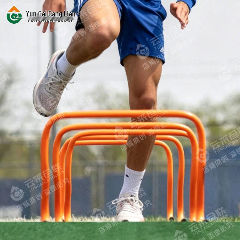 Agility Training Hurdles