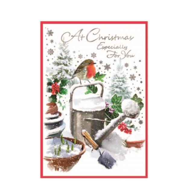 Simon Elvin At Christmas Especially For You Robin Greetings Card (Pack of 6)