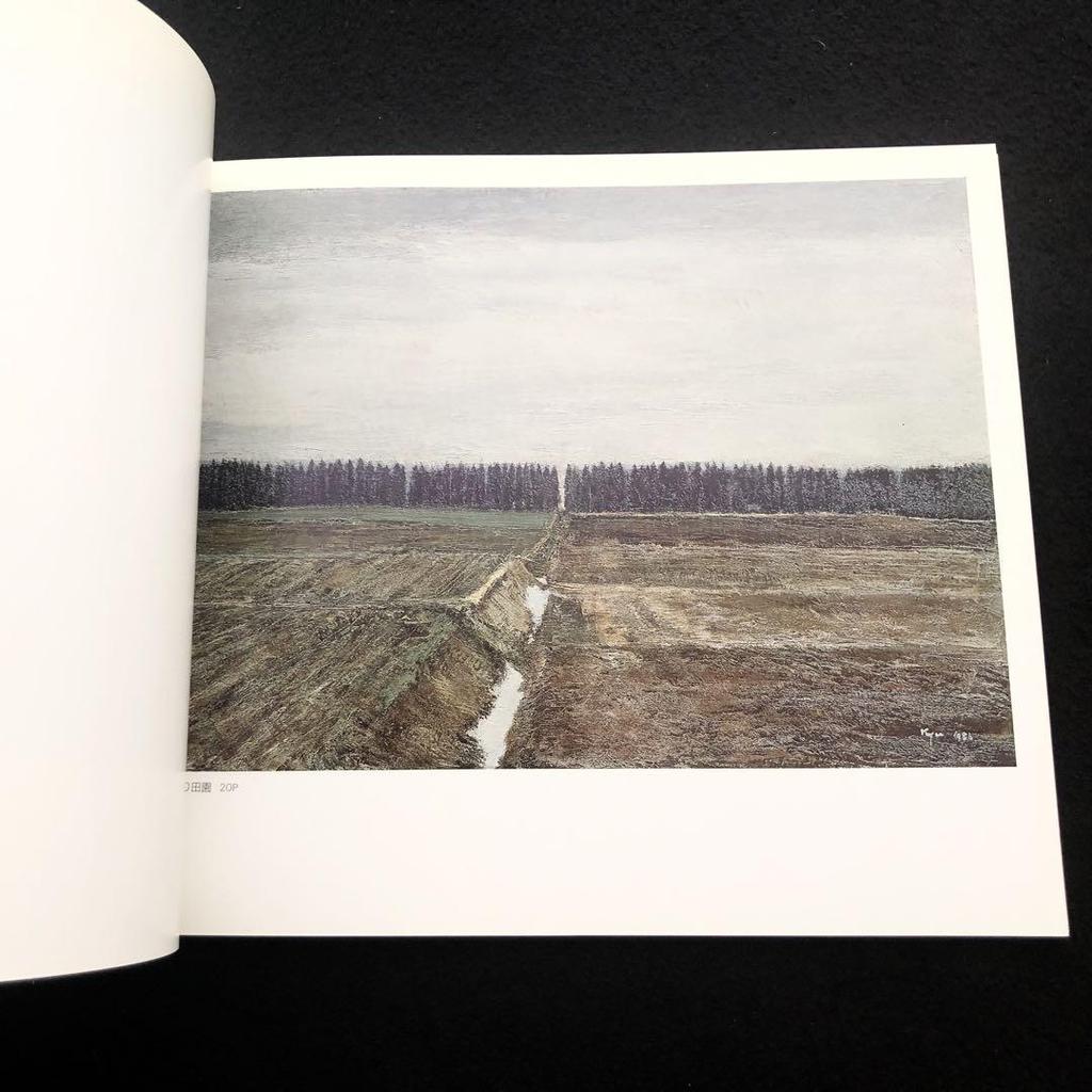 [USED] Catalog "Kyuichiro Aihara Exhibition: Early Spring - News from Furano" 1986, Nichido Gallery