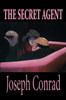 Raamat The Secret Agent