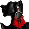 Women's Earring Exaggerated Flowers with Diamonds Tassel Acrylic Earrings Bohemian Temperament Female Earrings