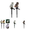 Adorable Owl Solar Garden Lights Water-resistant Outdoor Decoration