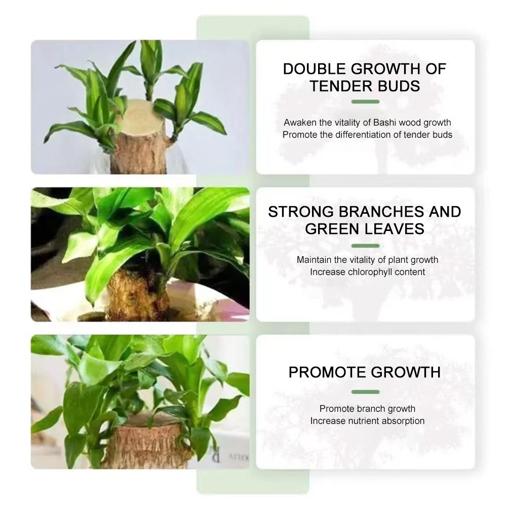 1/10 buc Lemn de Brazilia Soluție Nutritivă Specială Eficientă Promovează Sănătatea Plantelor Creștere Nutrienți Îmbunătățitor de Creștere a Plantelor Multifuncțional