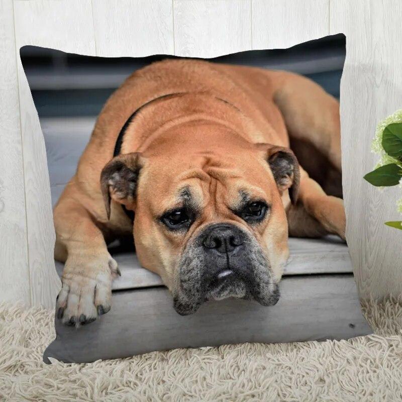 Pillowcase Bulldog  Modern Home Living Room Decoration