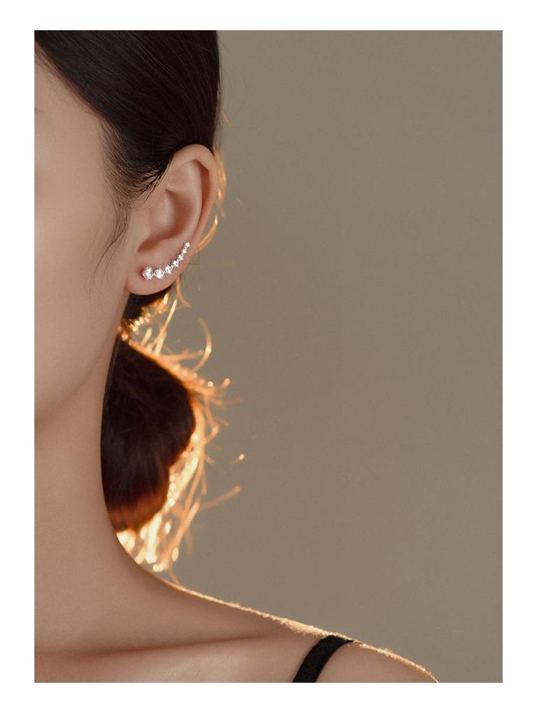 Banyan Tree S925 Silver Zircon Earrings - Elegant & Stylish Ear Hooks for Women