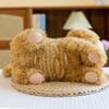 Cute Lazy Pattern Cat Plush Toy Cute Pet Home Decoration Office Doll Night Market Circle Gift
