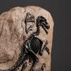 Dinosaur Display Ornament Desktop Resin Skeleton Plaque Textured Style